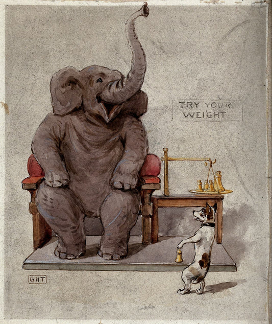 Museum-quality Giclée reproduction of George Hope Tait's 1900s Elephant drawing, featuring a humorous illustration of an elephant seated in a chair attempting to 'try its weight' with the help of a terrier. Ideal for children's room or quirky decor.