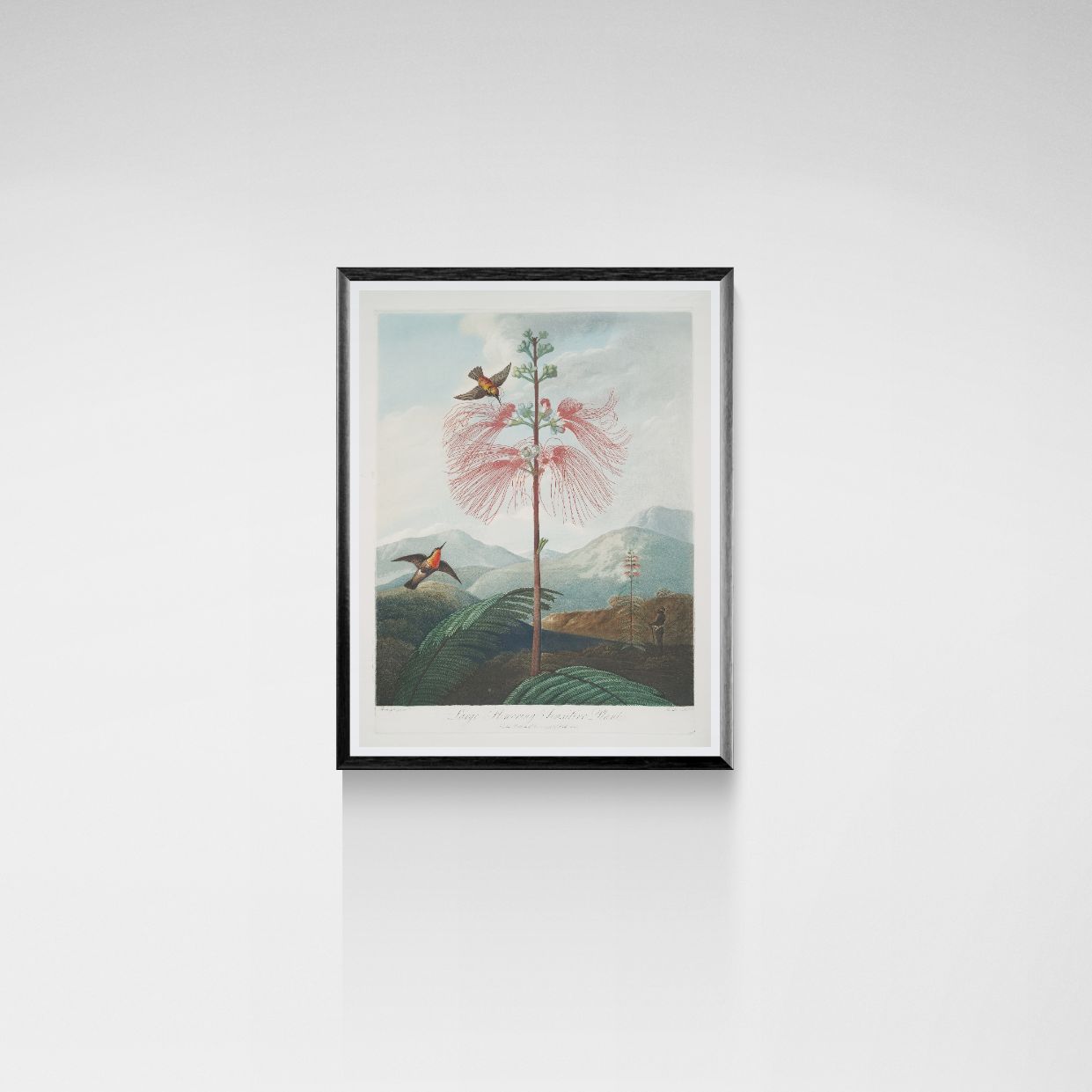 Framed artwork of a tree with pink flowers and birds on a white wall
