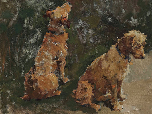 Two dogs sitting on a textured surface with a dark background