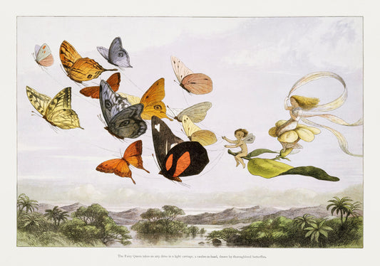 Illustration of fairies and butterflies in a landscape