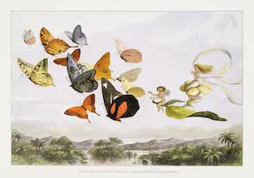 Illustration of various butterflies with a landscape background