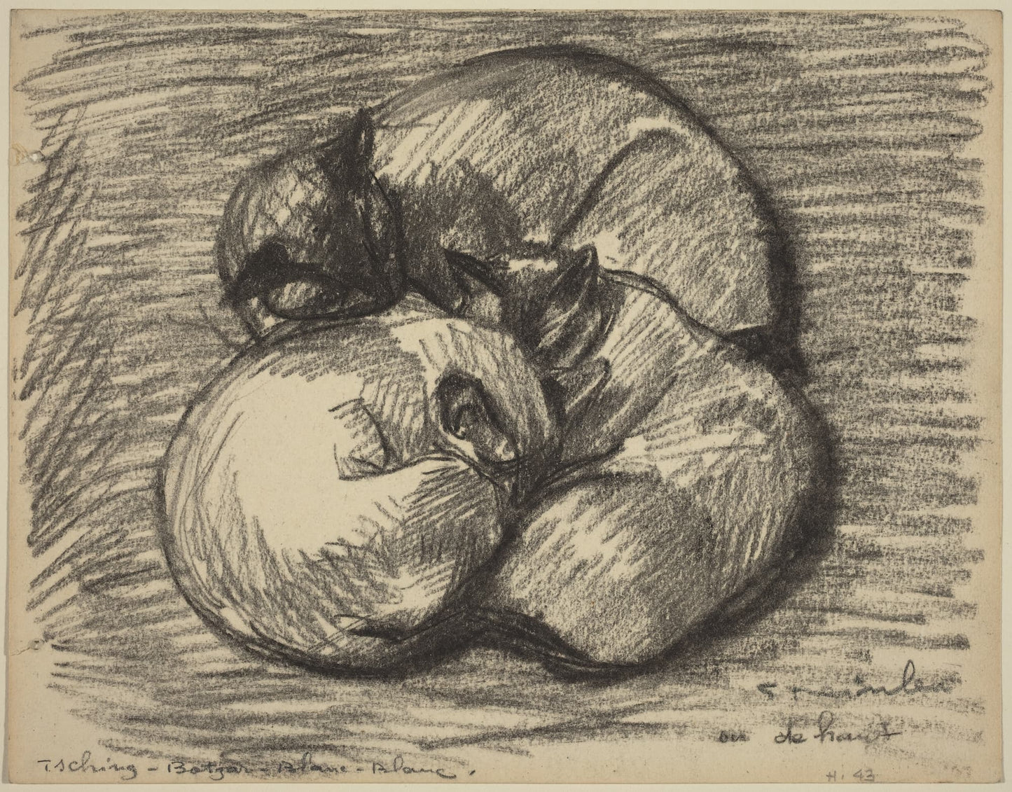 Sketched illustration of two apples with a stem on a textured background
