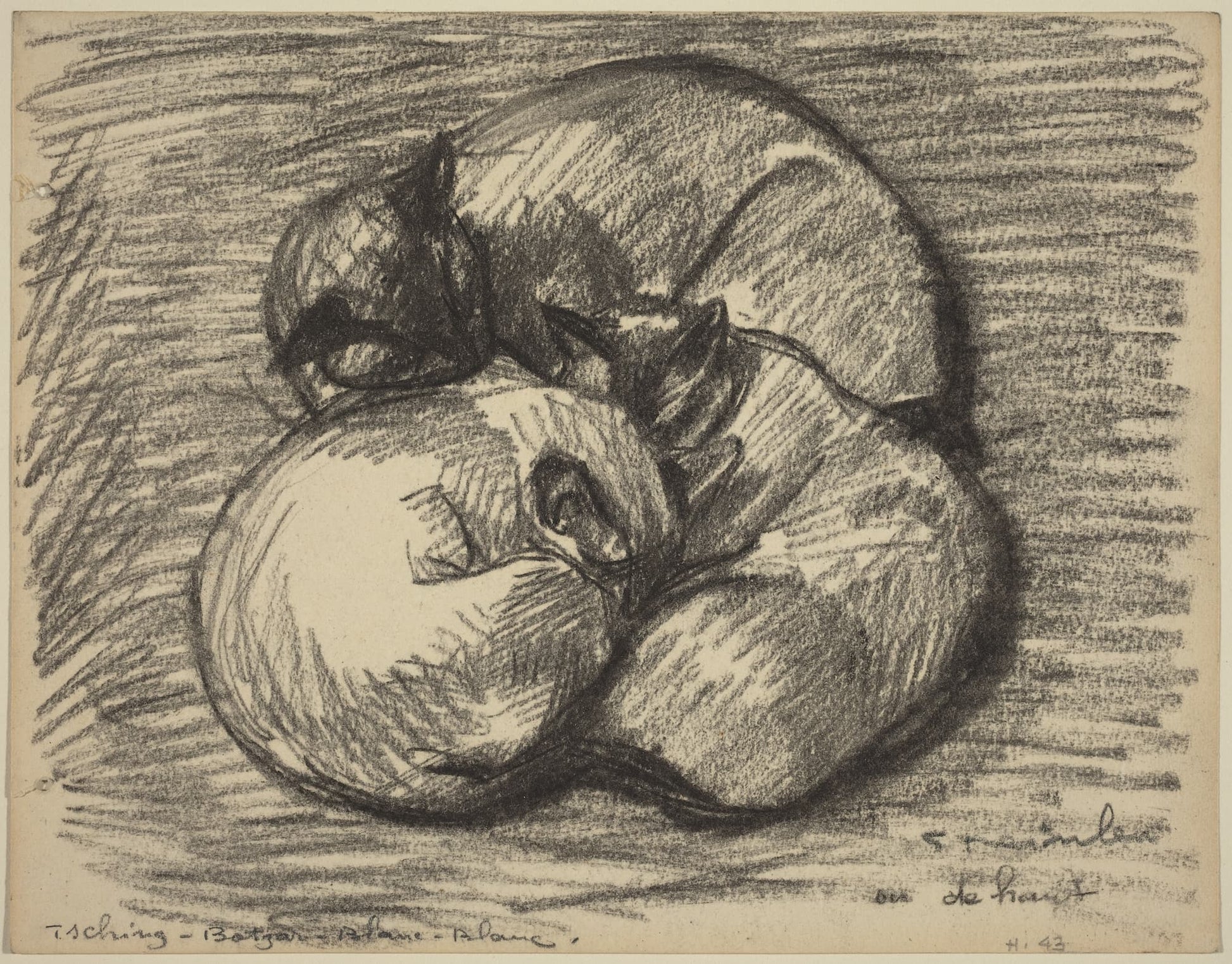 Sketched illustration of two apples with a stem on a textured background