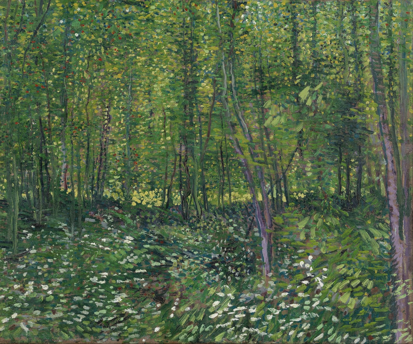 Forest scene with green trees and underbrush painted by Vincent Van Gogh.
