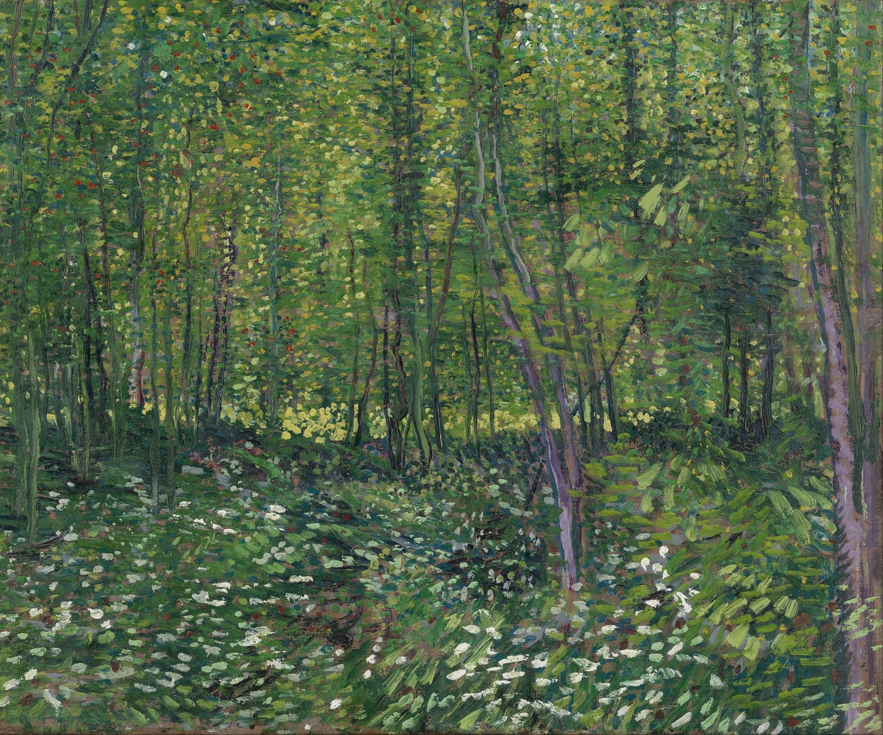 Forest scene with green trees and underbrush painted by Vincent Van Gogh.