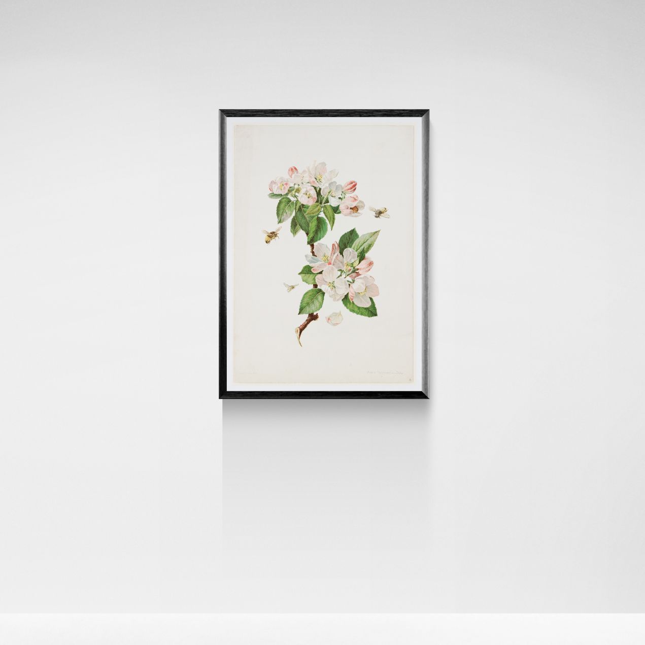 Framed botanical artwork of flowers and leaves on a white background