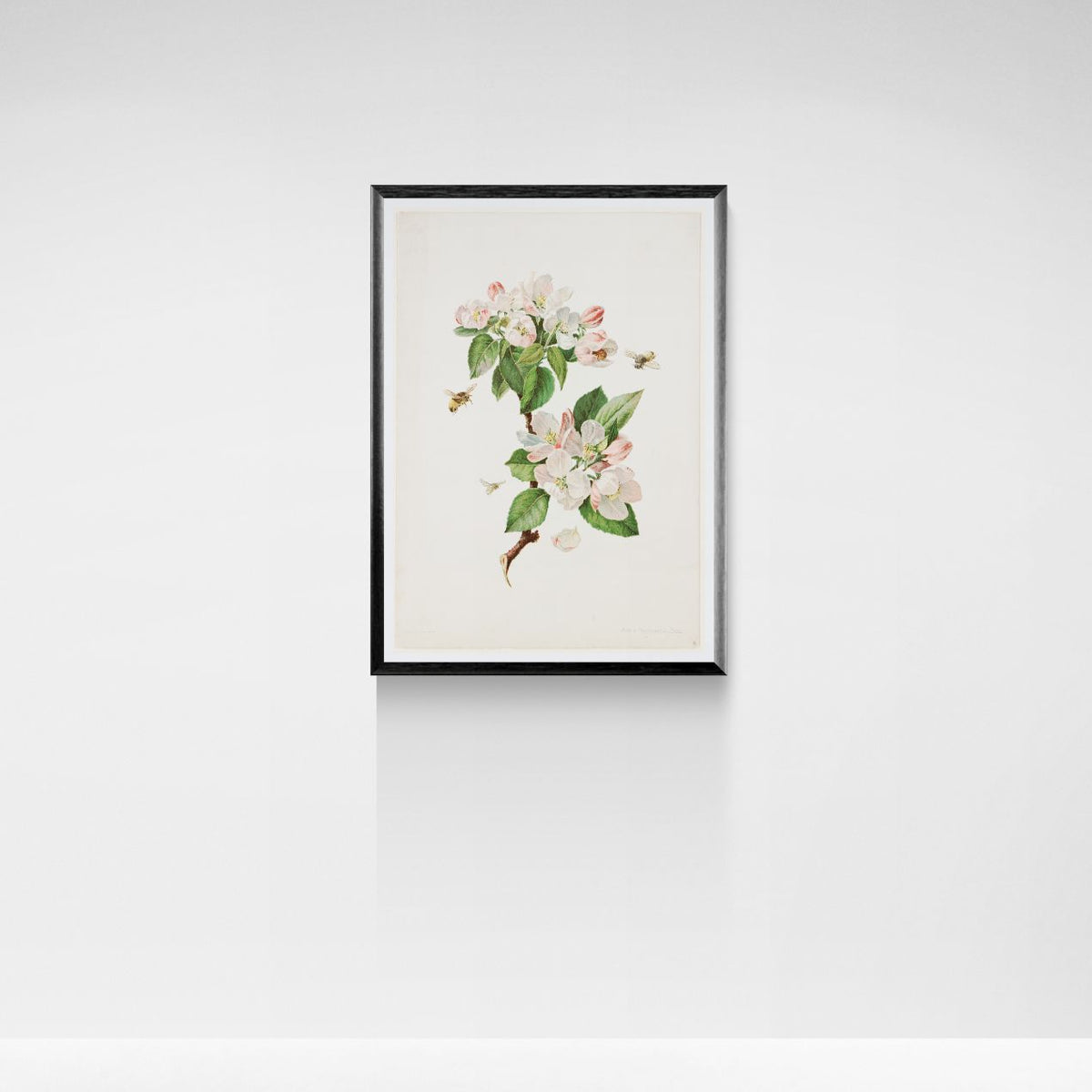Framed botanical artwork of flowers and leaves on a white background