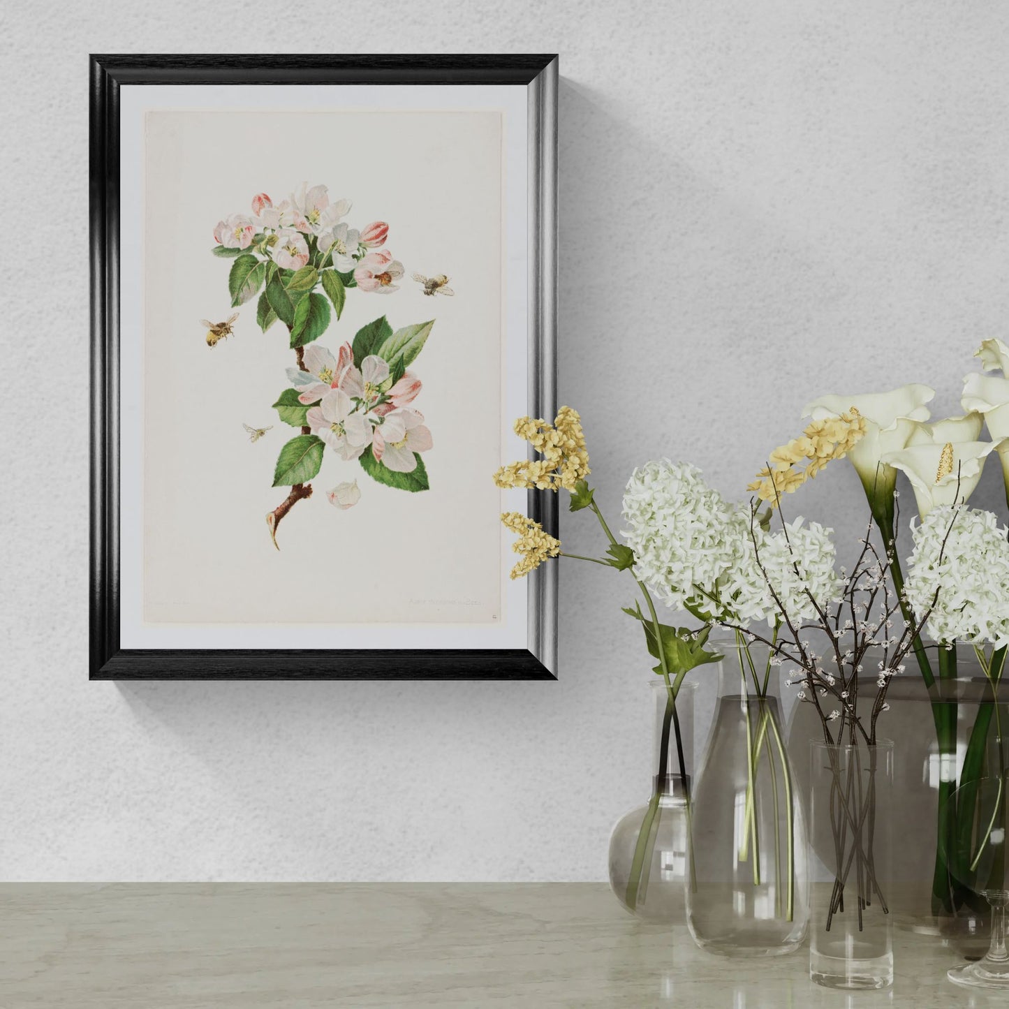 Vintage bee prints - Apple Blossom Botanical Art (1900s) Giclée Reproduction