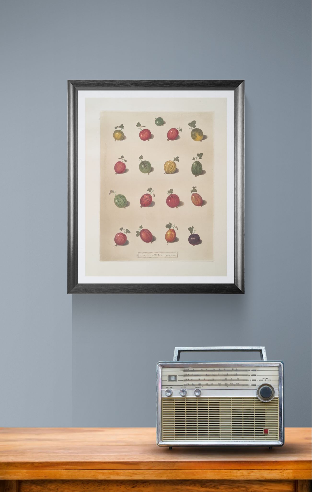 Framed artwork of colorful fruit illustrations on a gray wall with a vintage radio below.