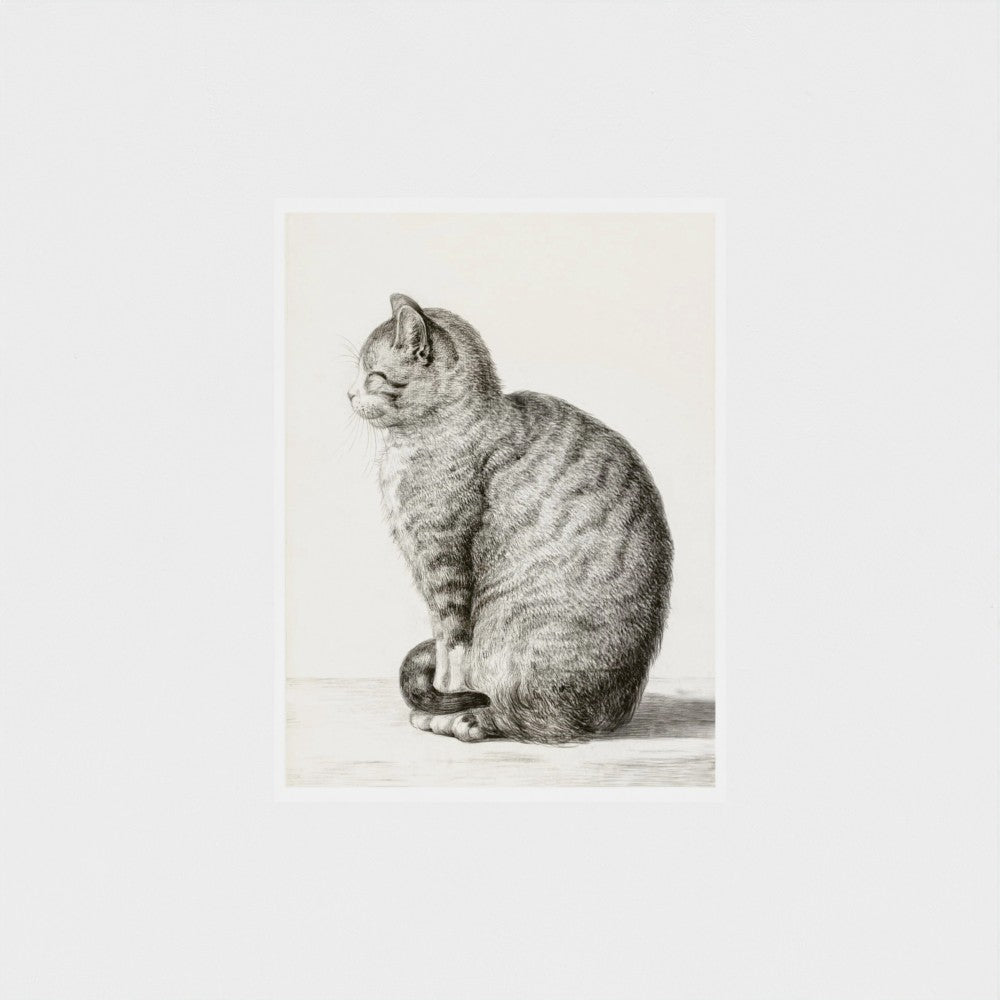 Black and white illustration of a sitting cat on a light beige background
