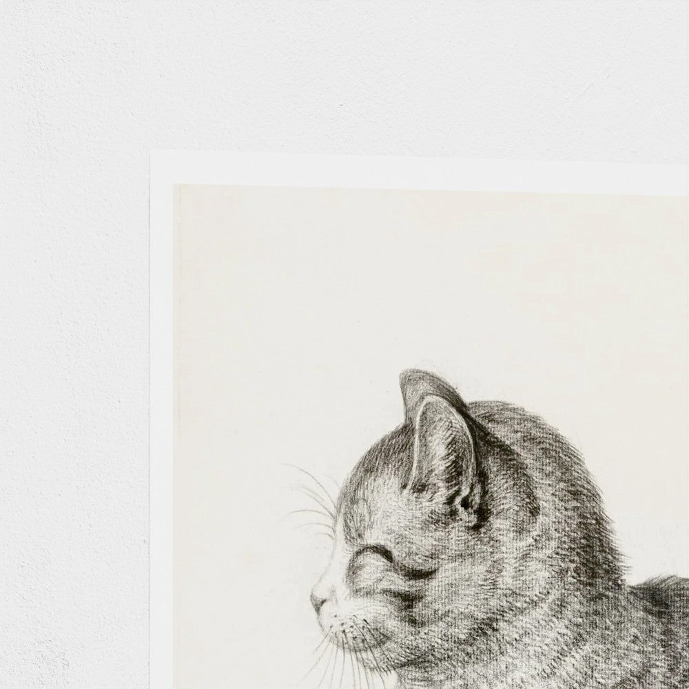 Detailed pencil drawing of a cat on a beige background