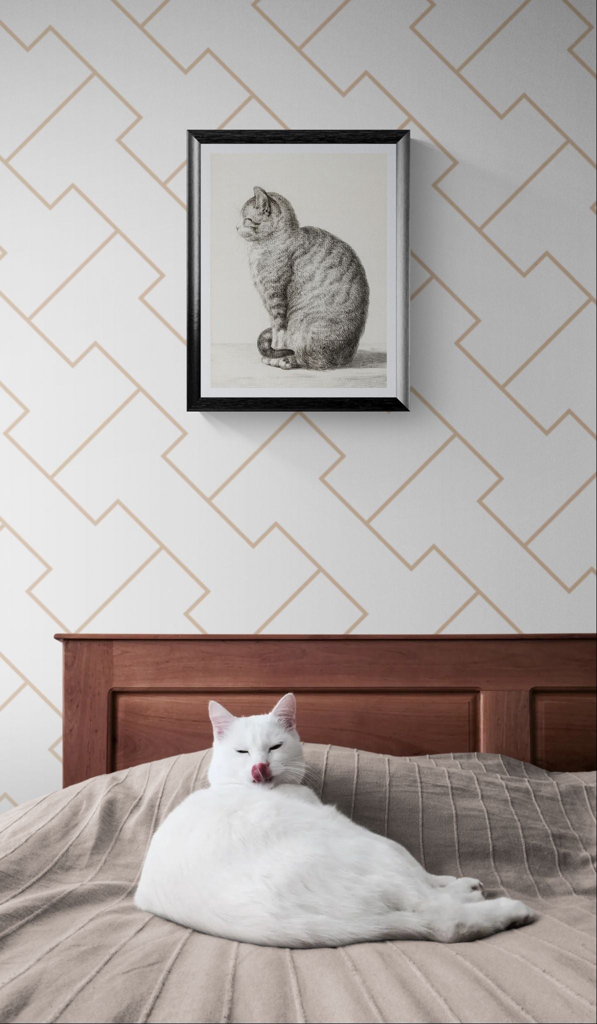 White cat lying on a bed with a framed black and white cat illustration on the wall.