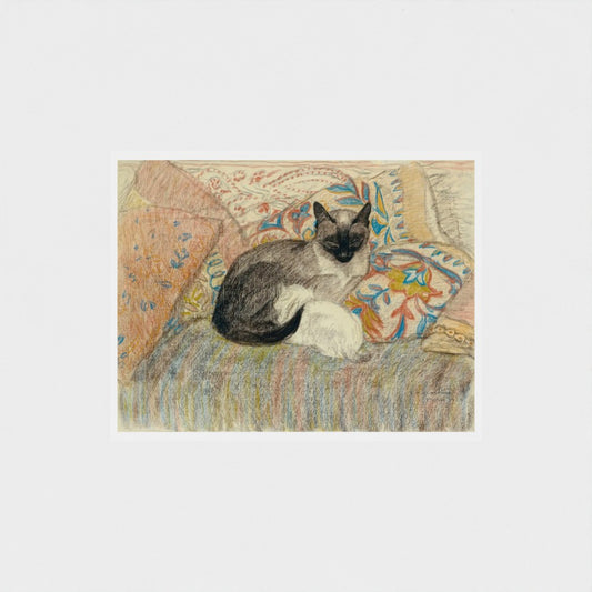 Siamese cat sitting on a patterned chair