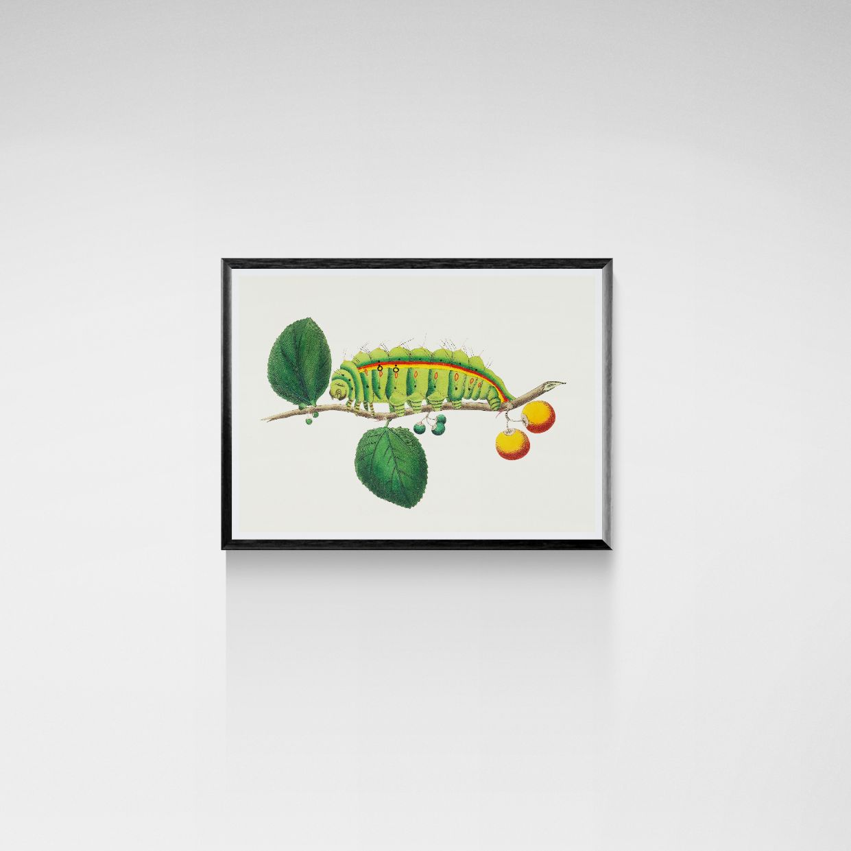 Framed artwork of a green caterpillar on a branch with leaves and fruits on a white wall.