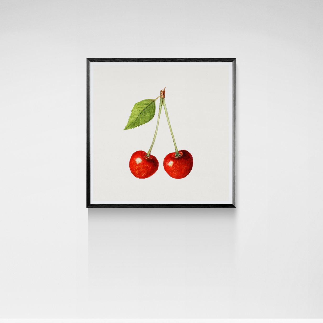 Framed artwork of two cherries on a white background