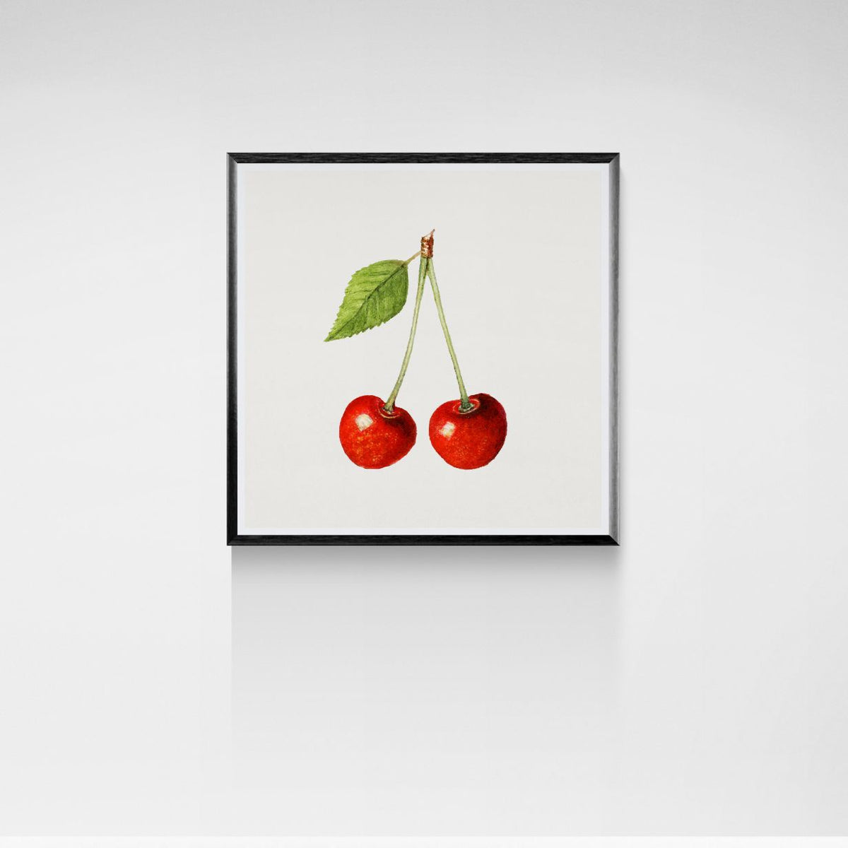 Framed artwork of two cherries on a white background
