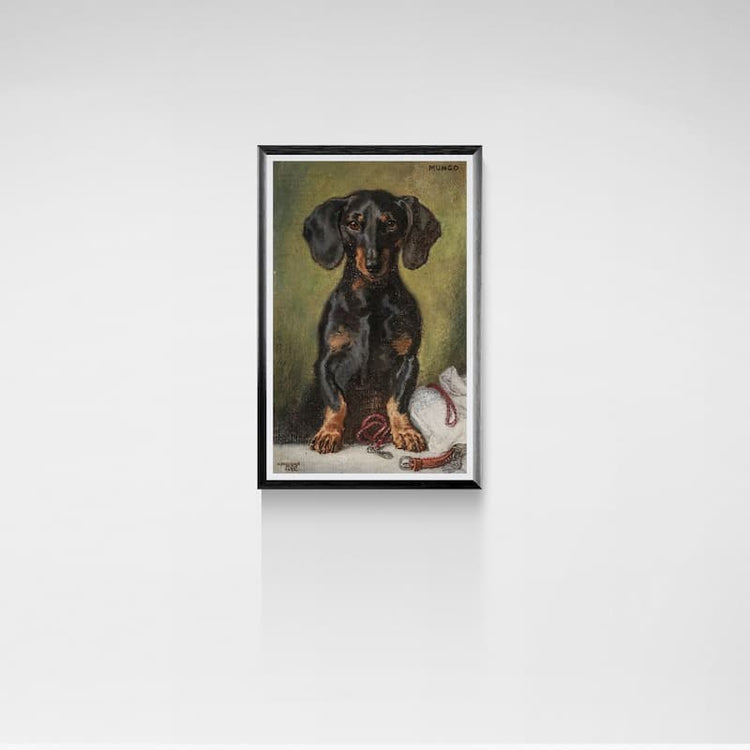 Vintage dachshund print 1930s | Alexander Pock