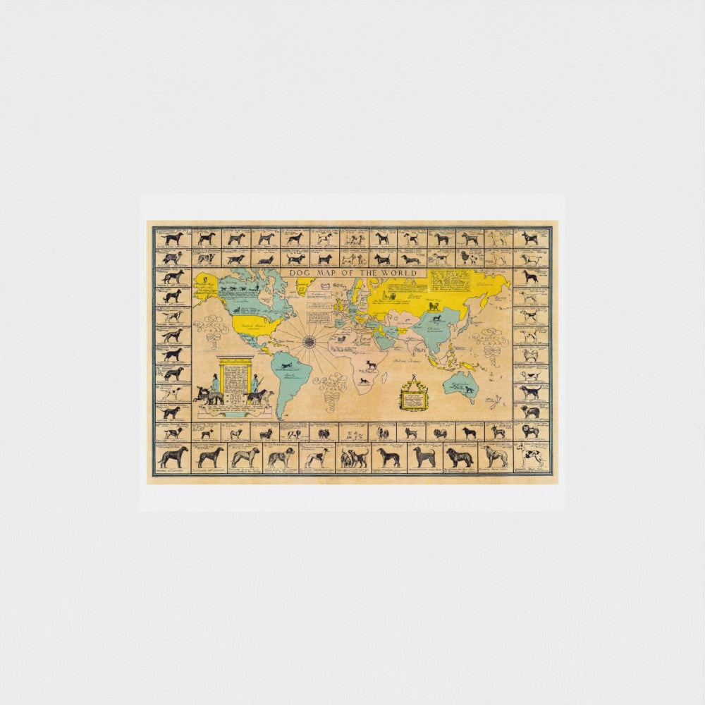 World map with illustrations of animals on a light gray background