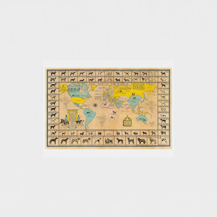 World map with illustrations of animals on a light gray background