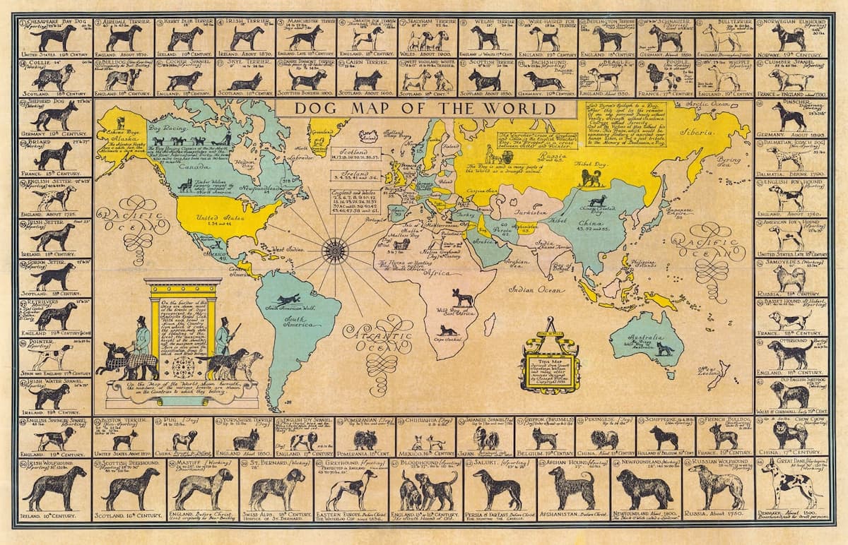 Vintage-style world map poster titled 'DOG MAP OF THE WORLD' with illustrated continents, dog silhouettes around the border, and many labeled dog species and historical notes on a tan parchment-like background.