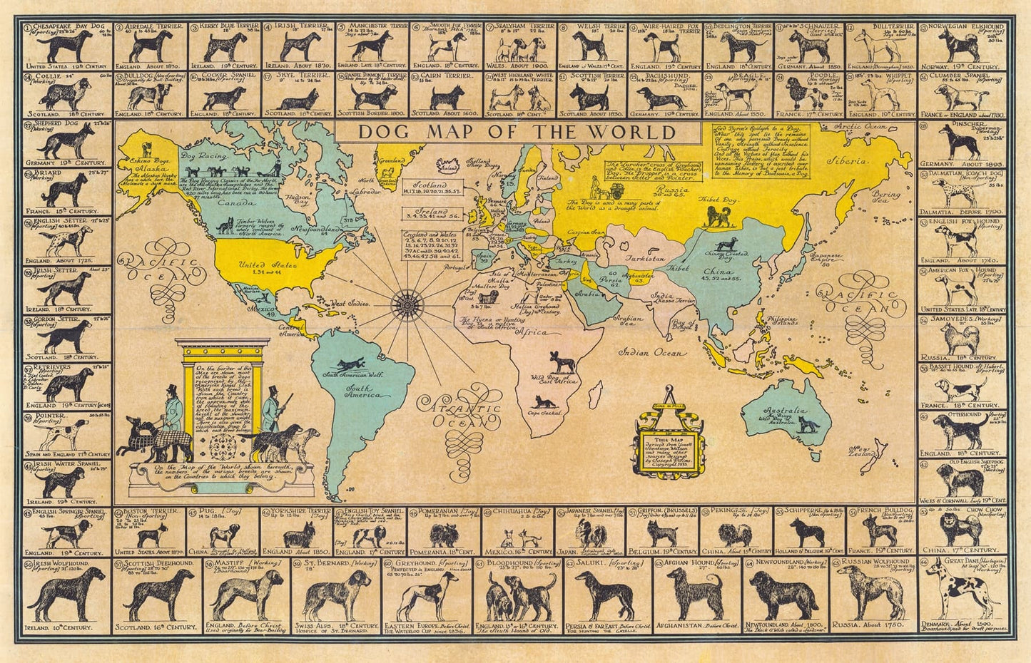 Map of the world with illustrations of dogs from various regions