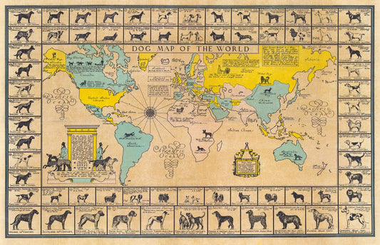 Map of the world with illustrations of dogs from various regions