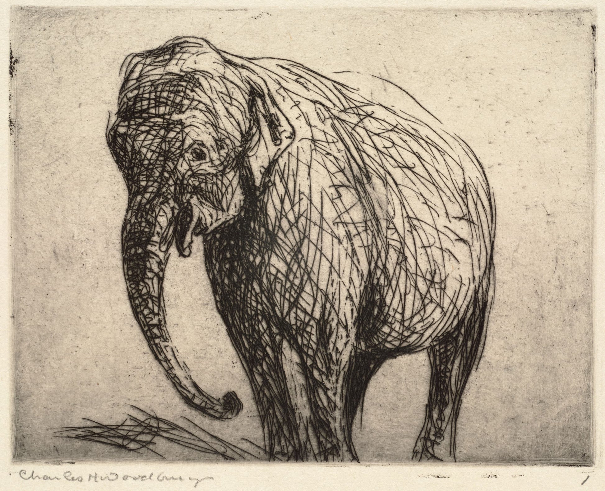 Artistic depiction of an elephant with textured lines on a plain background