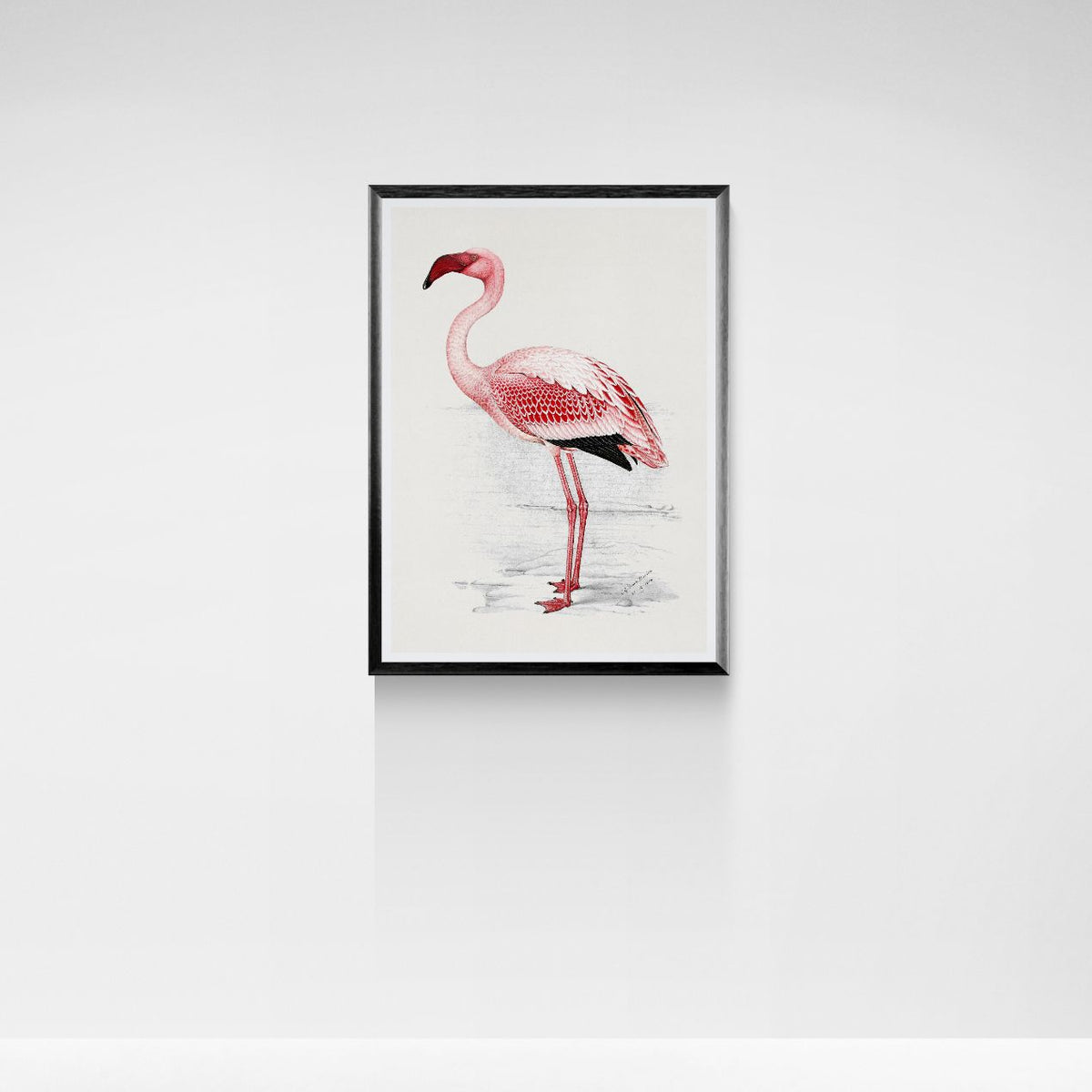 Framed artwork of a pink flamingo on a white wall