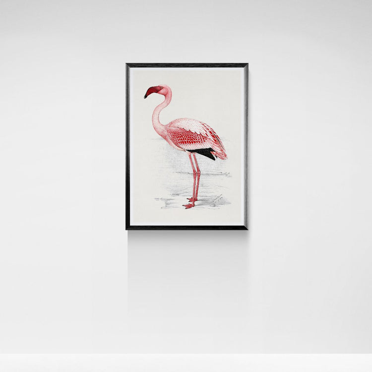 Framed artwork of a pink flamingo on a white wall