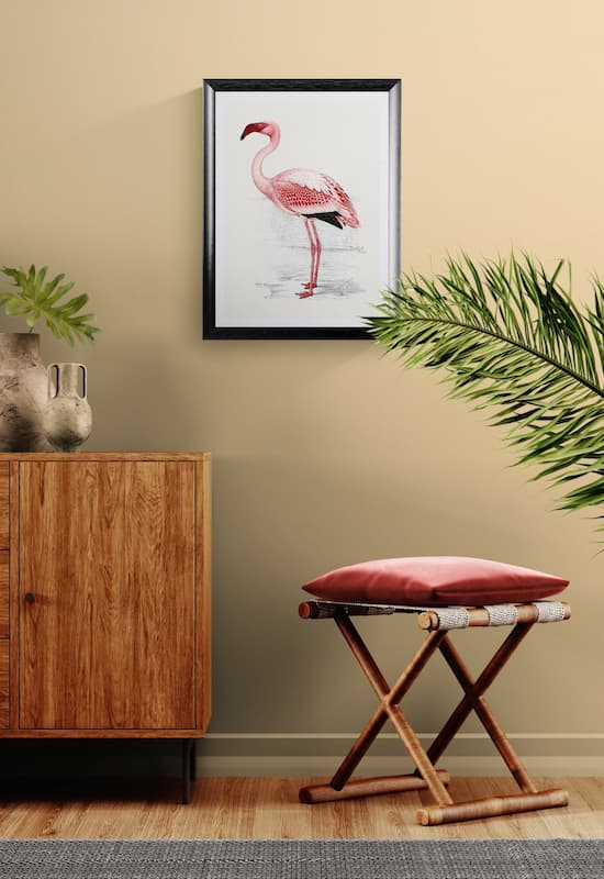 Vintage Flamingo print | C.G. Finch-Davies (c. 1910) Ornithological Art