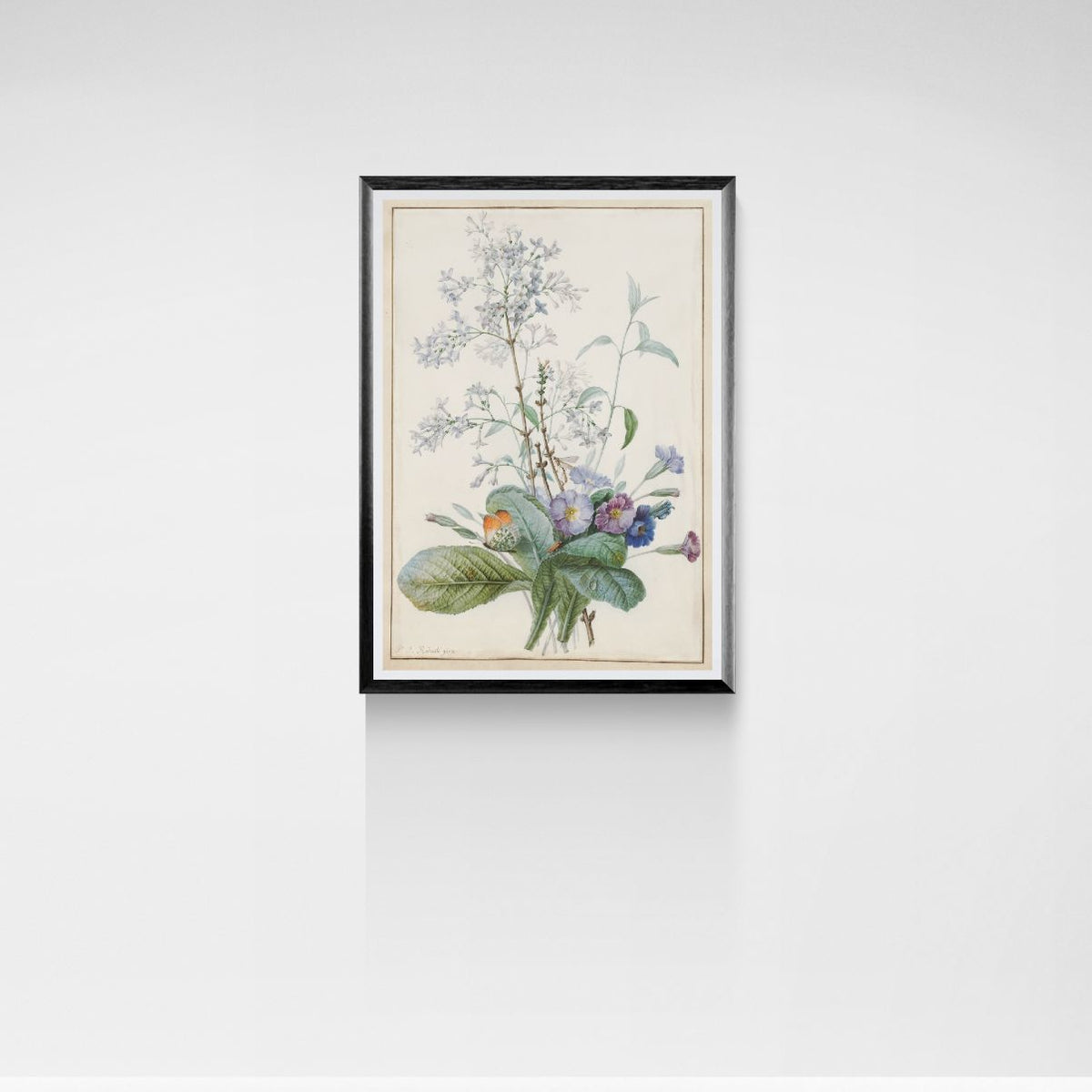 Framed botanical print of flowers on a white wall