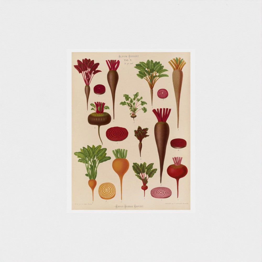 Illustration of various root vegetables on a beige background