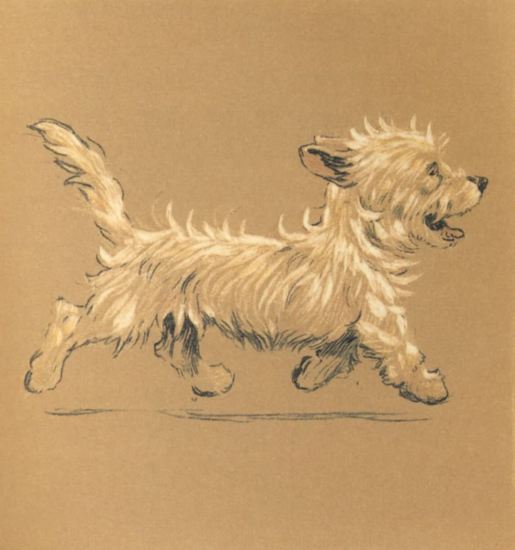 Westie print - Cecil Aldin (1912) Giclée Dog Portrait