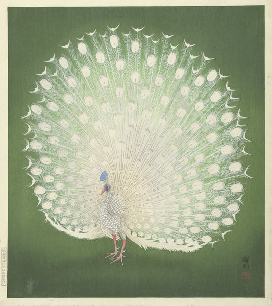 Ohara Koson "White Peacock" poster | 1925 Japanese Shin-hanga Woodblock Print | Elegant Botanical & Animal Wall Decor
