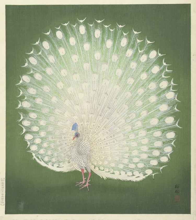 Ohara Koson "White Peacock" poster | 1925 Japanese Shin-hanga Woodblock Print | Elegant Botanical & Animal Wall Decor