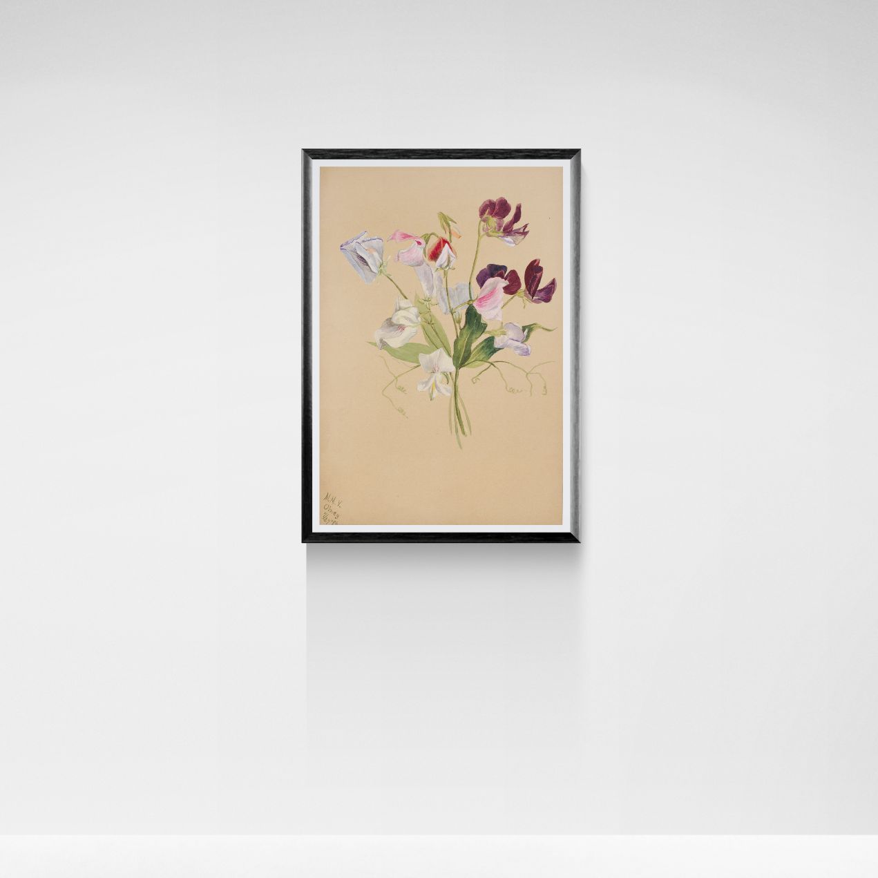 Framed botanical artwork of flowers on a beige background