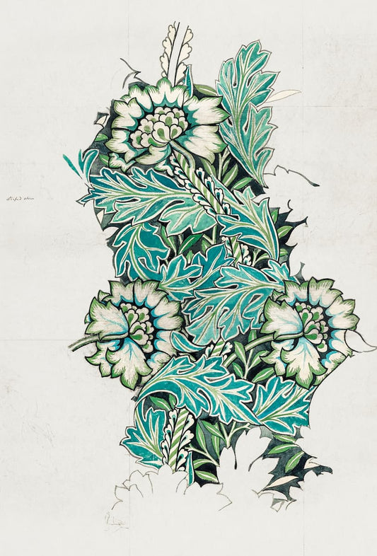 A botanical art print featuring detailed illustrations of thistle flowers and leaves in teal, green, and white, set against a textured off-white background.