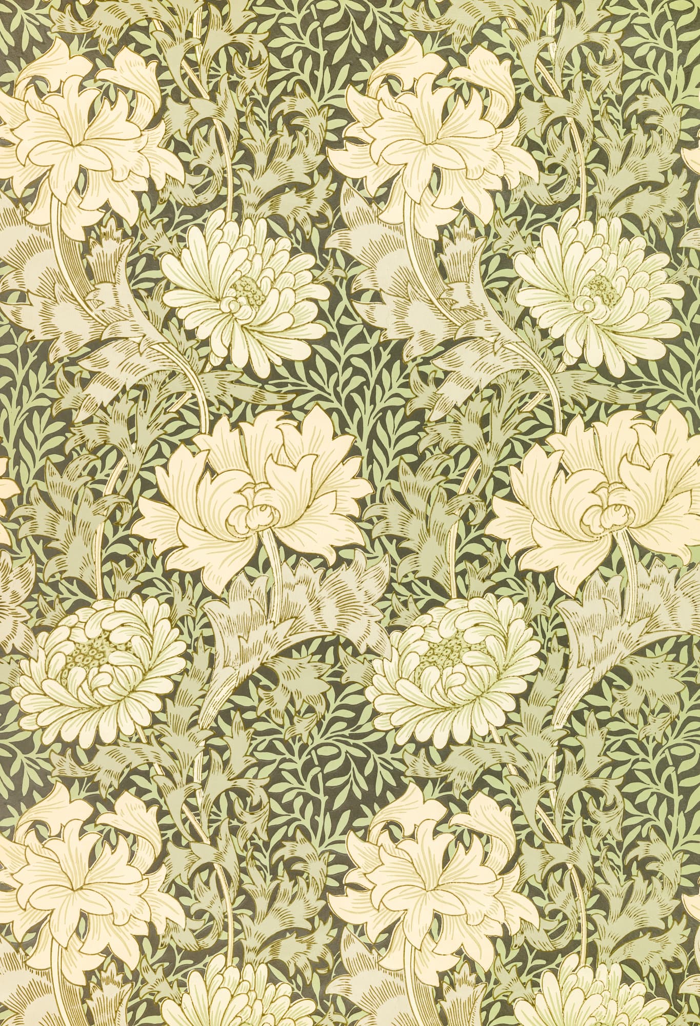 Floral pattern with light green flowers on a dark green background
