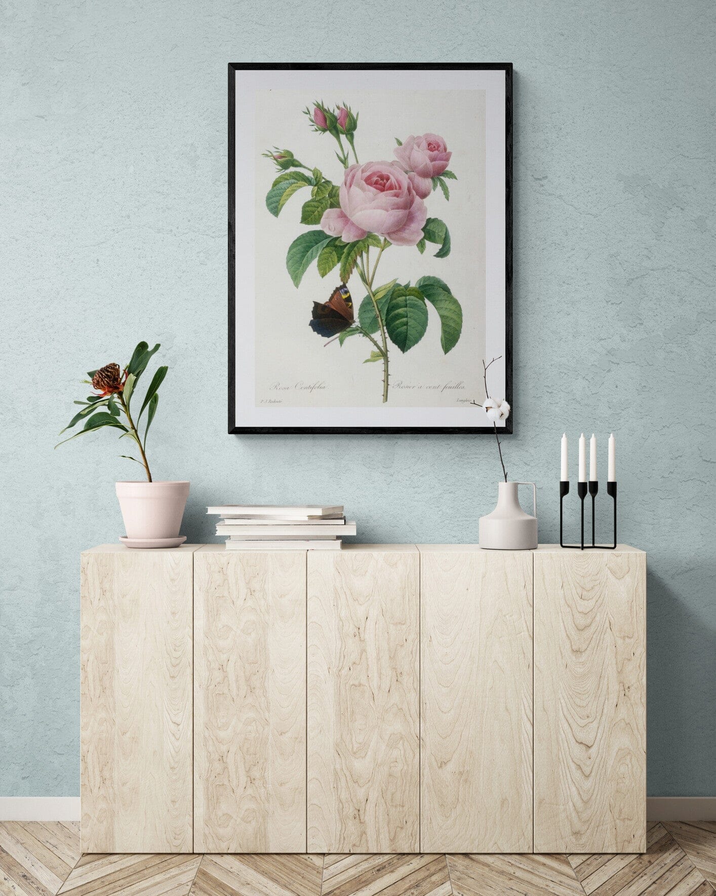 Botanical 100 petal rose (1800s) | Vintage botanical prints | Pierre-Joseph Redouté Posters, Prints, & Visual Artwork The Trumpet Shop Vintage Prints   