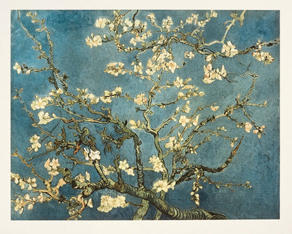 Art print of Vincent van Gogh's famous "Almond Blossoms" painting, featuring delicate white and pale pink almond blossoms on twisting branches against a vibrant turquoise blue sky, rendered in his iconic Post-Impressionist style.