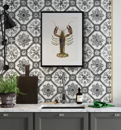 Vintage Lobster print (1800s) Posters, Prints, & Visual Artwork The Trumpet Shop   