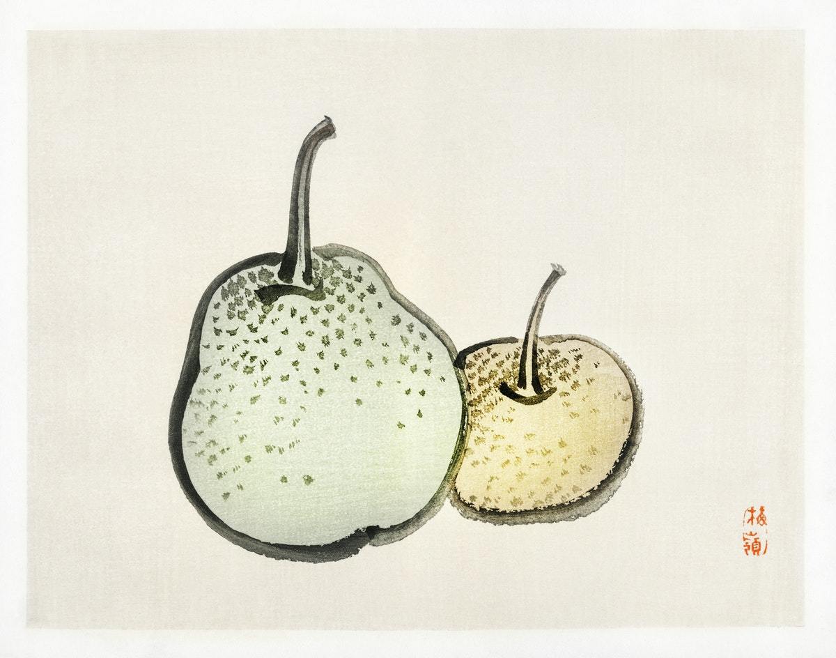 Asian pears (1800s) | Vintage pears prints | Kōno Bairei Posters, Prints, & Visual Artwork The Trumpet Shop   