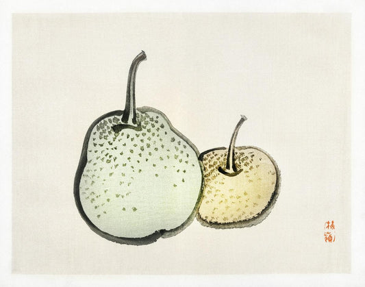 Asian pears artwork (1800s) | Kōno Bairei Posters, Prints, & Visual Artwork The Trumpet Shop   