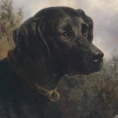 Black Lab painting (1800s) | Vintage dog prints | Carl Reichert Posters, Prints, & Visual Artwork The Trumpet Shop   