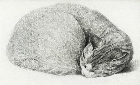 Sleeping cat (1800s) | Jean Bernard