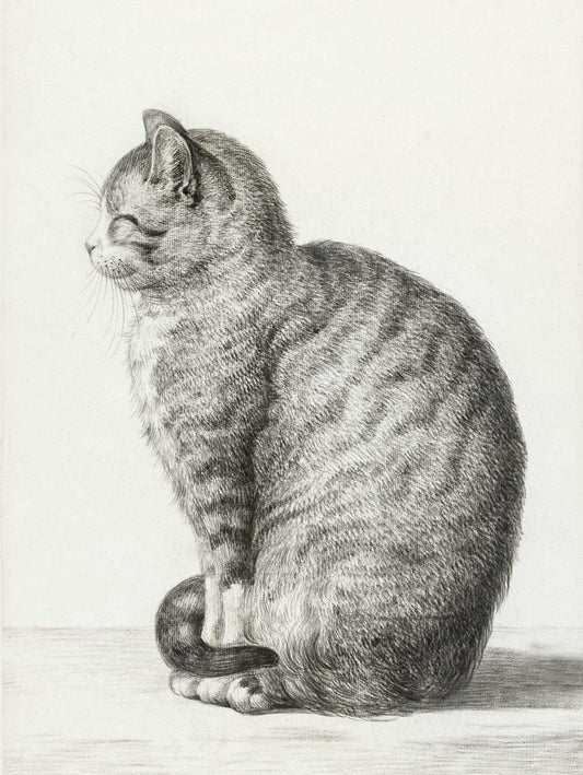 "Happy Cat" vintage print (1800s) | Jean Bernard