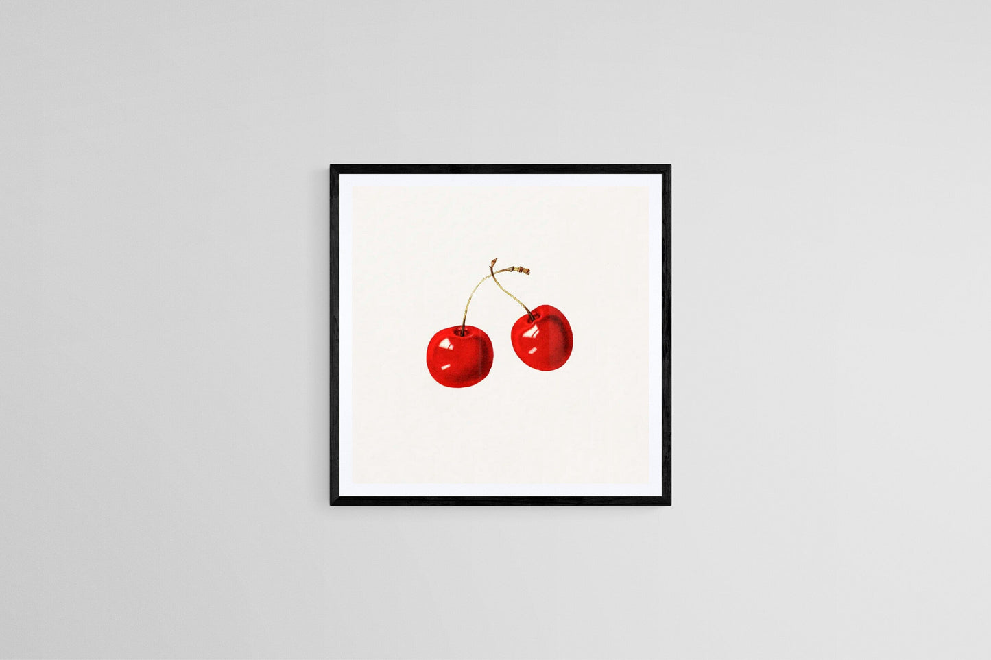 Cherries (c1930s) | Botanical prints | Kitchen wall art | USDA Posters, Prints, & Visual Artwork The Trumpet Shop   