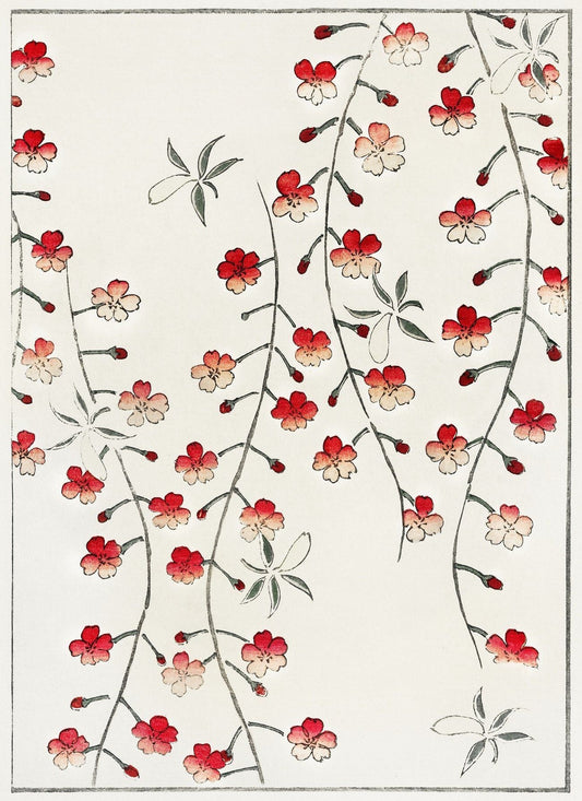 Cherry blossom illustration (1890s) | Watanabe Seitei prints Posters, Prints, & Visual Artwork The Trumpet Shop   
