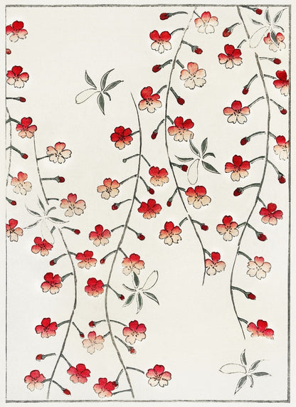 Cherry blossom artwork (1890s) | Watanabe Seitei