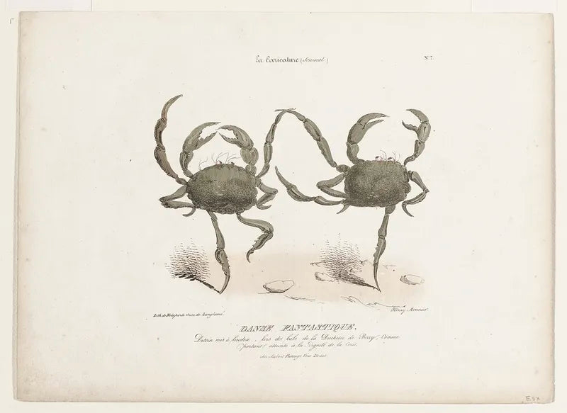 “Danse Fantastique” crabs kitchen art print (1829) | Henri Monnier  The Trumpet Shop   